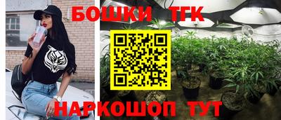 jwh Новозыбков