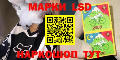 прущие грибы Нальчик