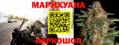 прущие грибы Нальчик