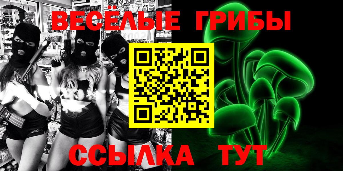 Псилоцибиновые грибы Cubensis  Вход с VPN  Псилоцибиновые грибы мицелий  Алейск 